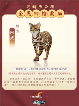 天龙八部私服道士召唤